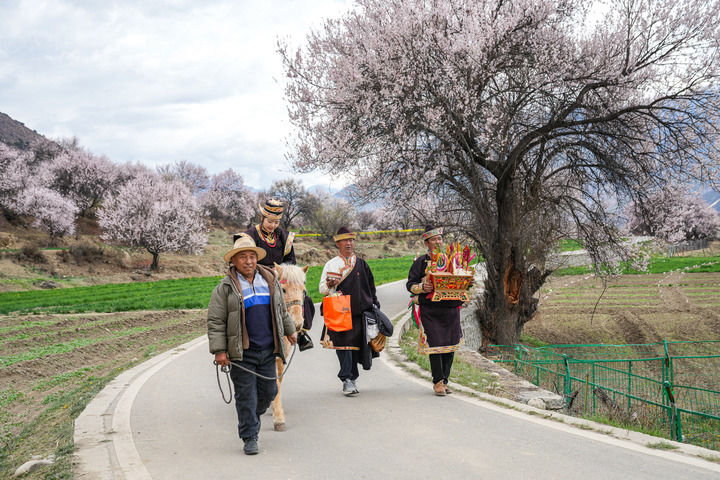 202603013bd65ef5eb394abab5740a95d99fb3f9_20260301154988c0445546c2bc04d6305a2887e1.jpeg 202603013bd65ef5eb394abab5740a95d99fb3f9_20260301154988c0445546c2bc04d6305a2887e1.jpeg