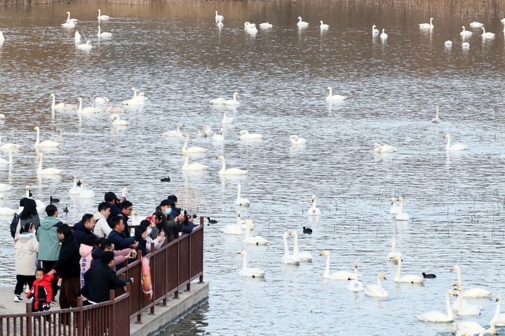 Id69YH4oiAKTeAEG.jpeg Id69YH4oiAKTeAEG.jpeg