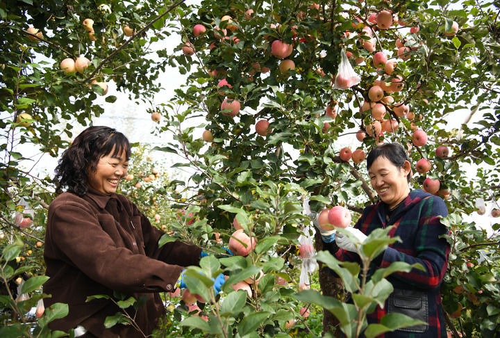 KXCIsdSjk6AFoPW6.jpeg KXCIsdSjk6AFoPW6.jpeg