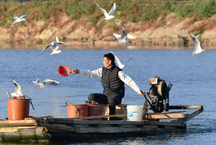 EnJ2LdiqME3mZqNz.jpeg EnJ2LdiqME3mZqNz.jpeg