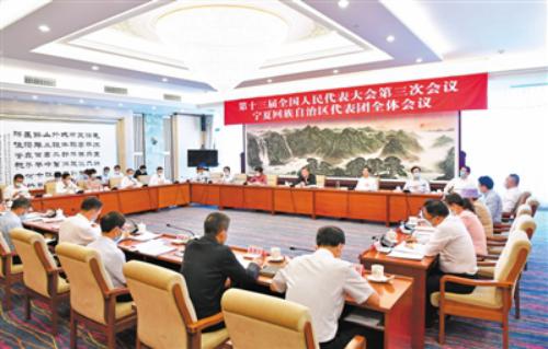 宁夏代表团审议两高工作报告