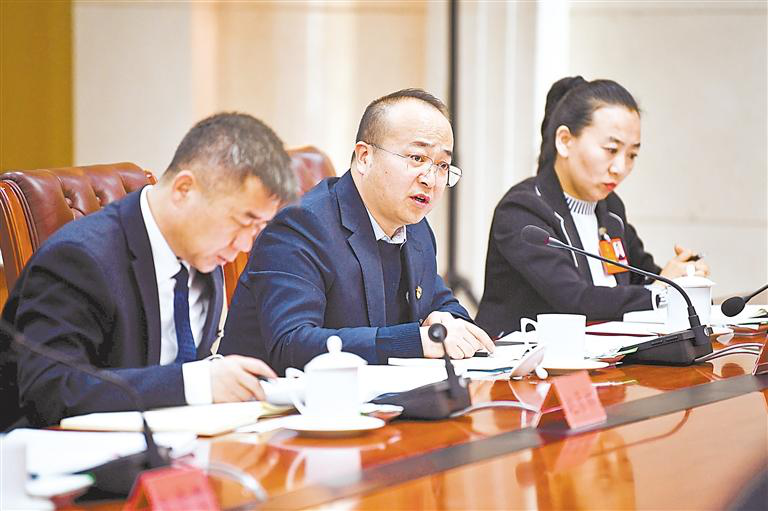 自治区人大代表丁斓进发表建议